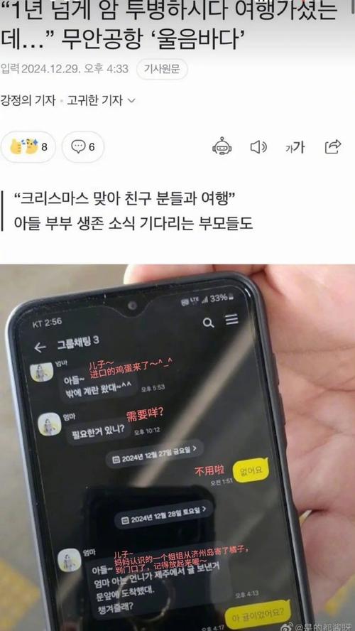 新奥今晚特马上9点30和韩国坠机致4人遇难与韩国坠机事件
