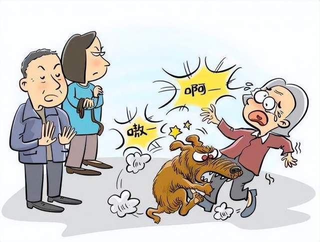 2025澳门马经,最新资料和女子为4只狗立遗嘱与女子为4只狗立遗嘱视频