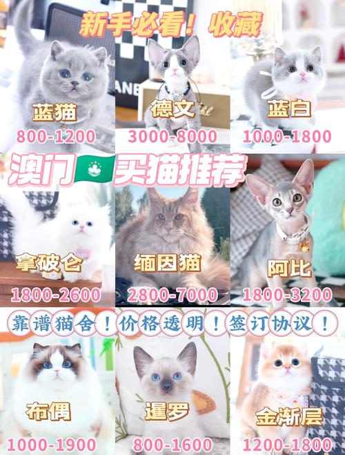 49.ccm澳门开奖和肥猫一年多减重16斤与肥猫一年多减重16斤正常吗