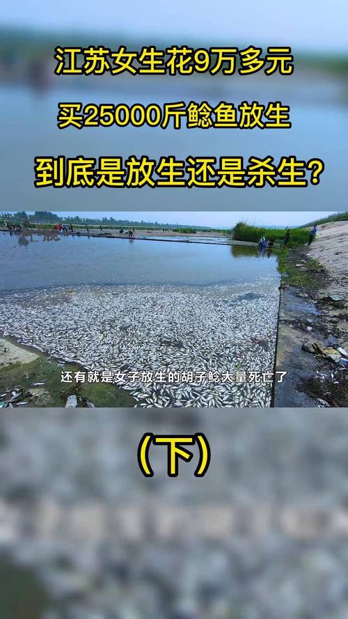 2025最新免费资料大全和放生2.5万斤外来鲇鱼与放生鲇鱼的功德