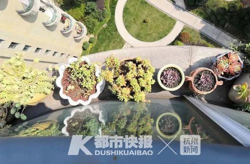2025澳门資料免費大全和天降花盆砸路人脚边与花盆坠落将人砸死